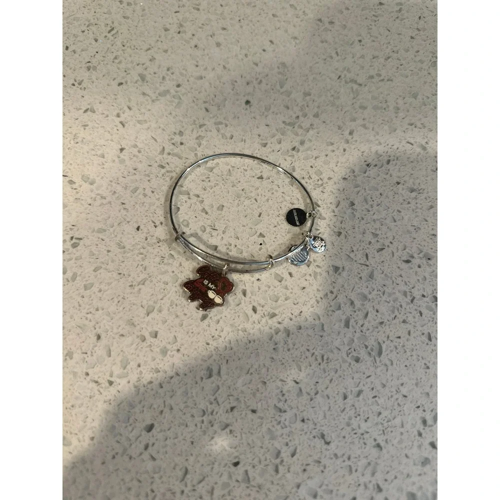 ALEX AND ANI bracelet bundle includes 9 bracelets ‎ (g1)
